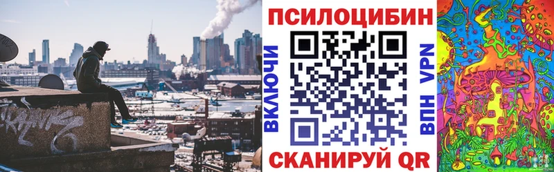 Псилоцибиновые грибы Psilocybe  Спас-Клепики 